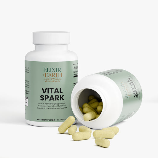 Vital Spark