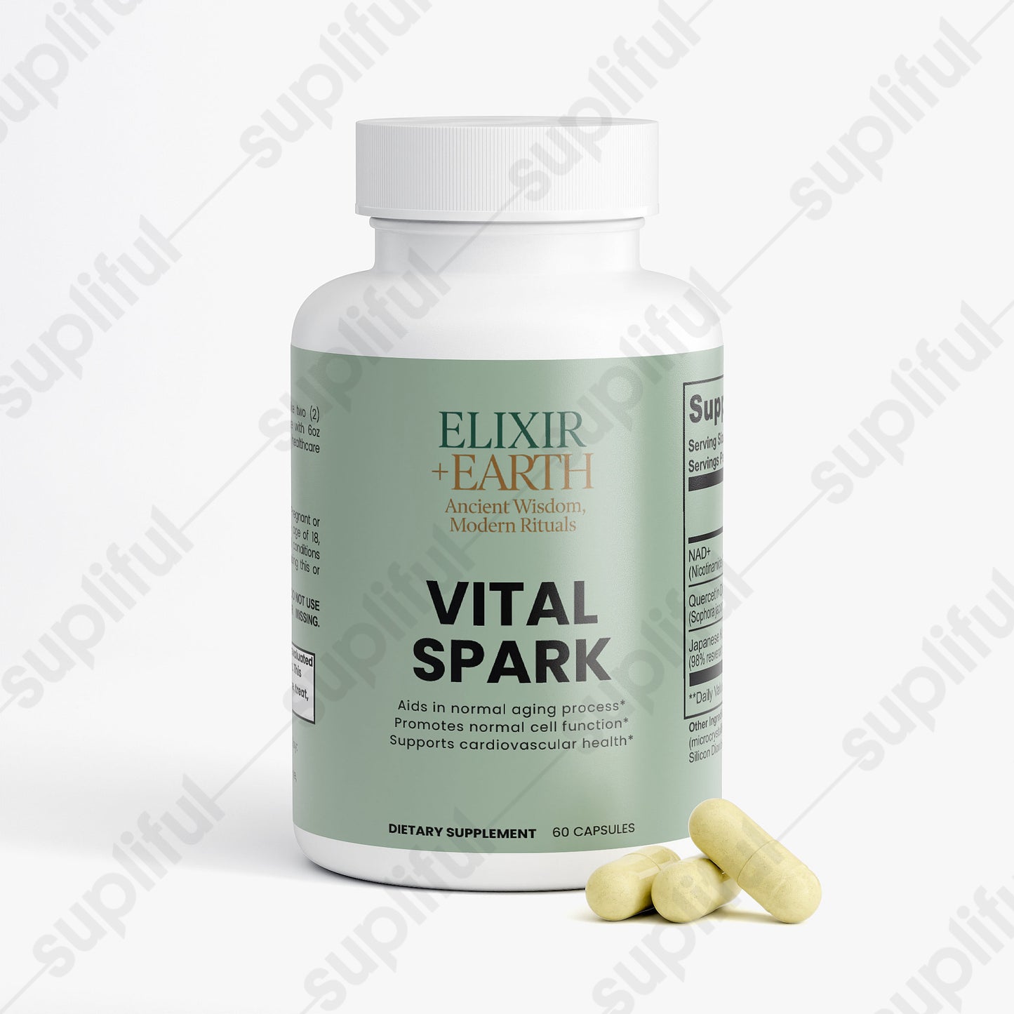 Vital Spark