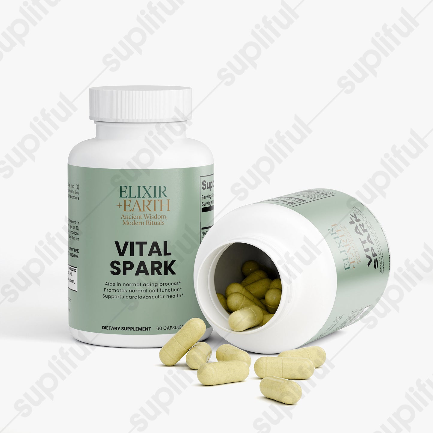 Vital Spark