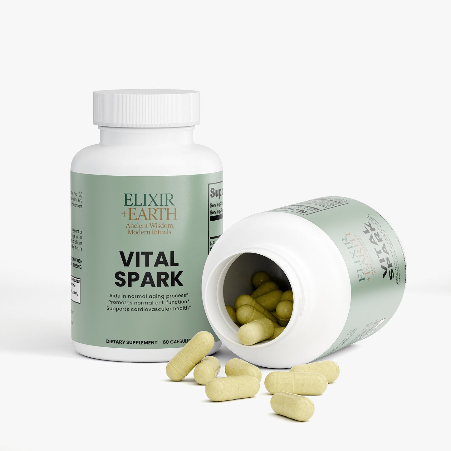 Vital Spark