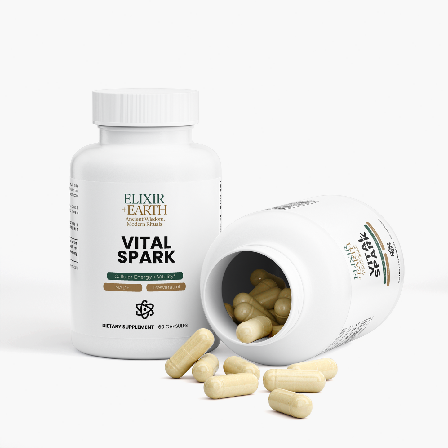 Vital Spark