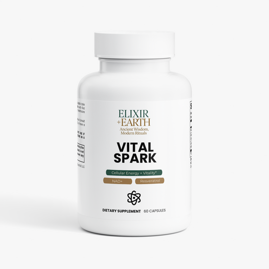 Vital Spark