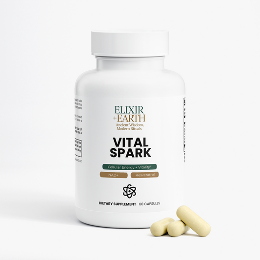 Vital Spark